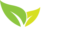 light logo